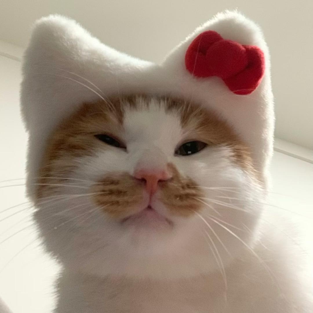 我是陈奕迅是我