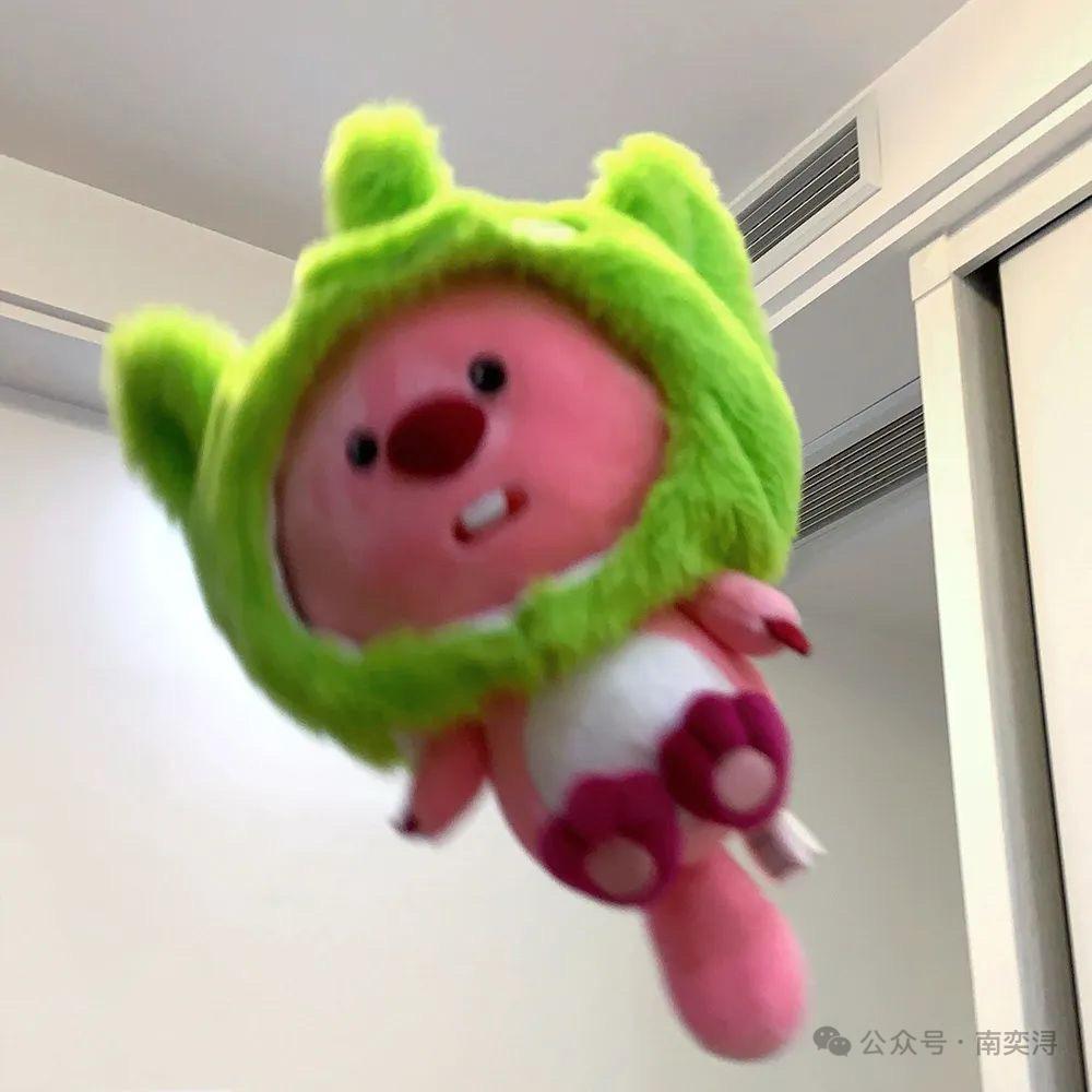 铿锵玫瑰