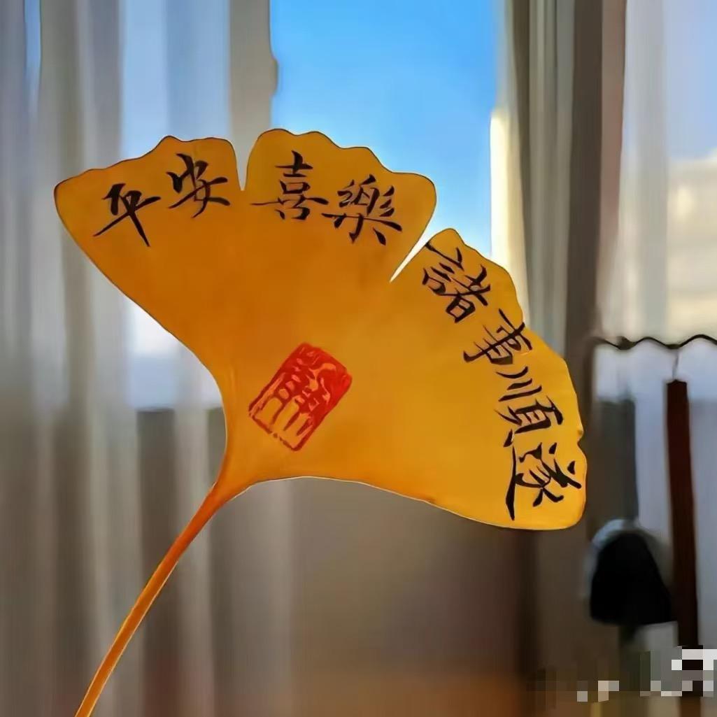 钱途无限短剧屋
