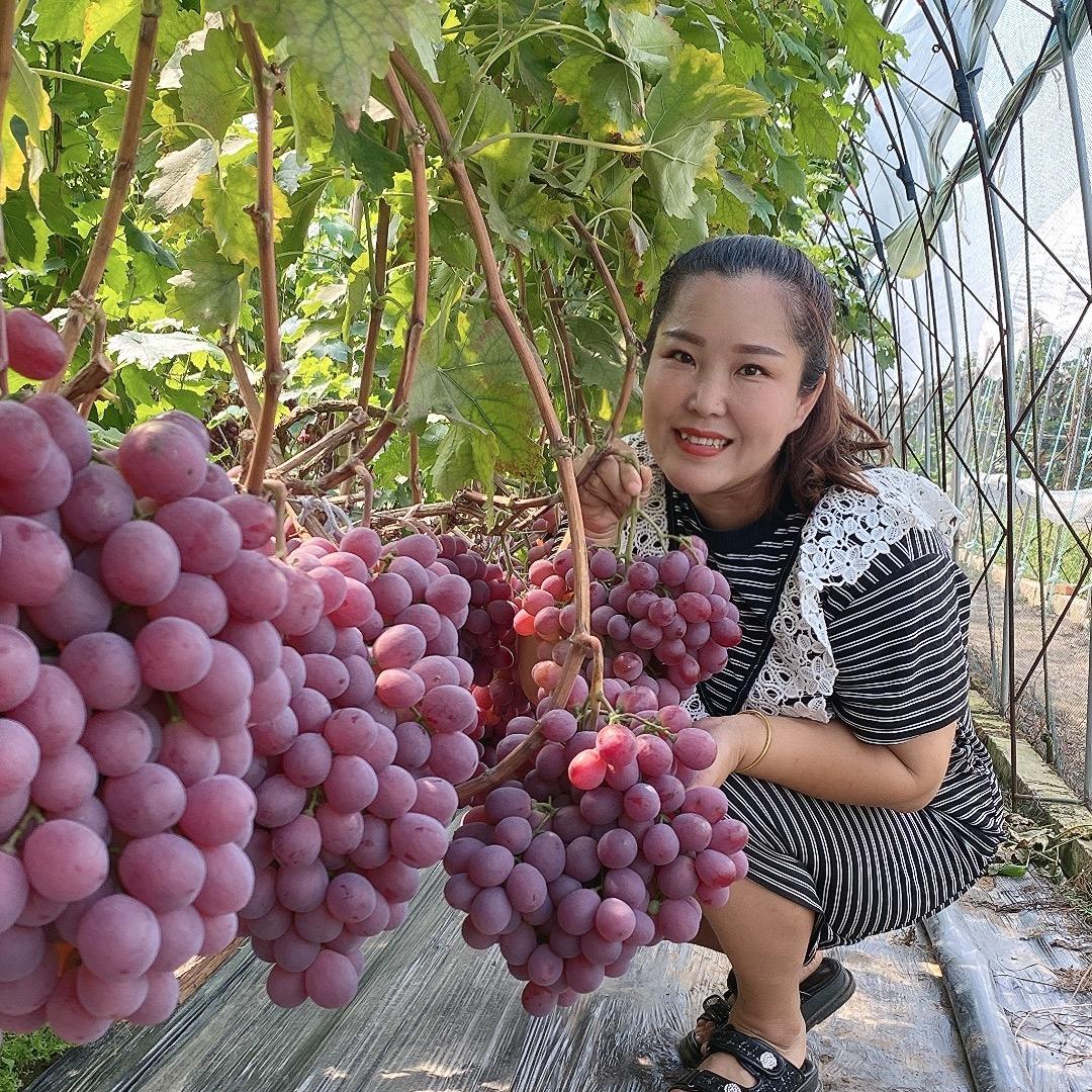 雨霖果树苗木专营店