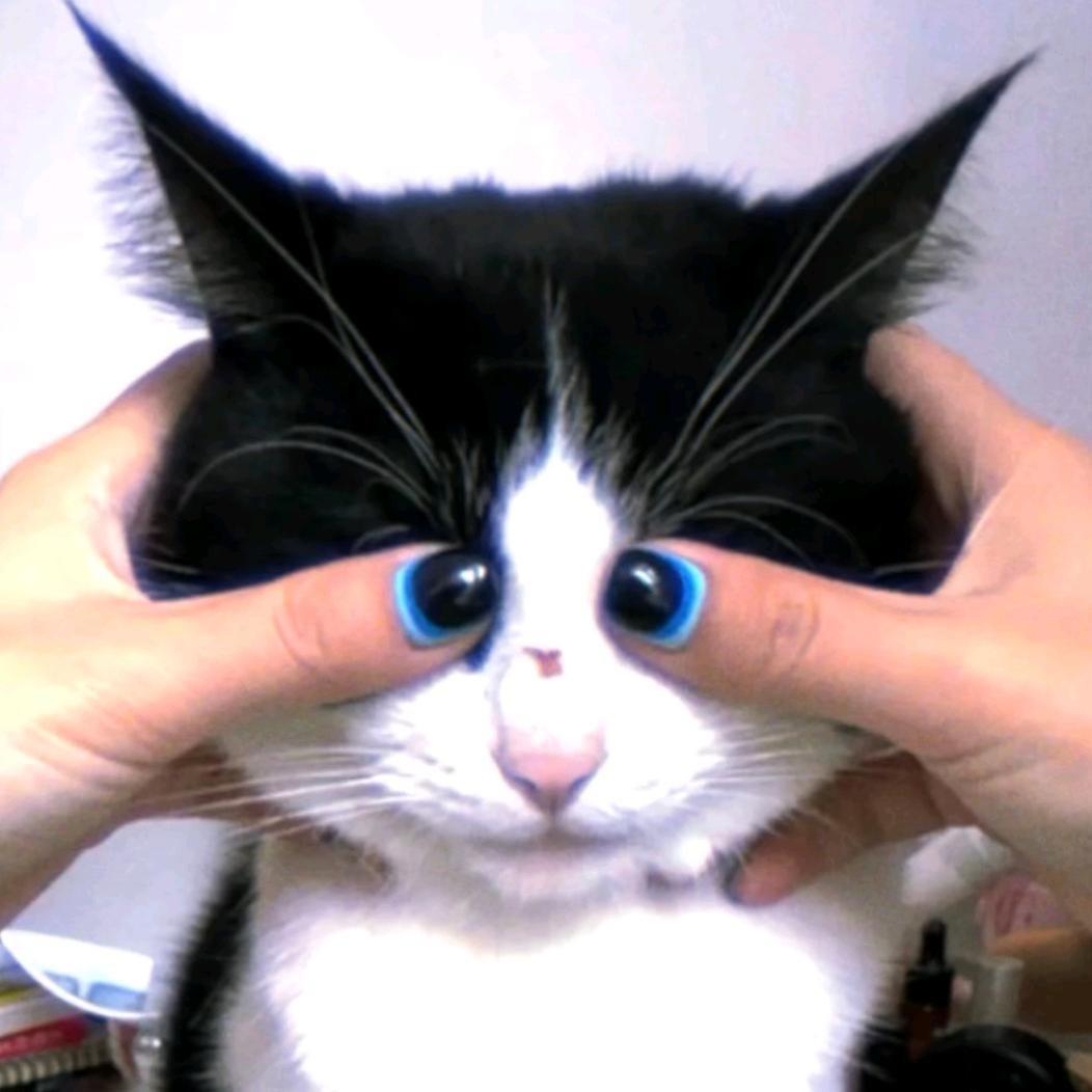 小范的及时行乐