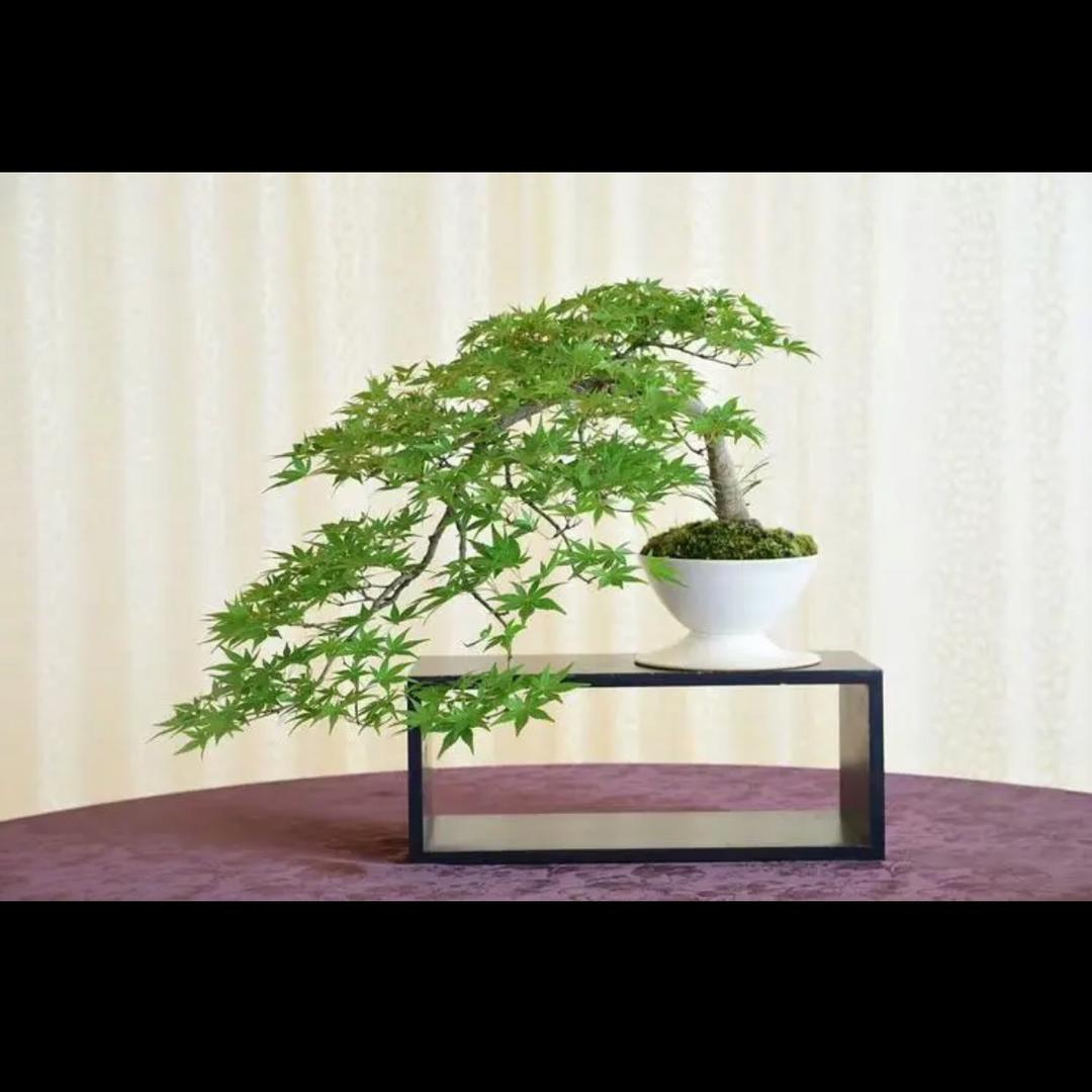 云景景观