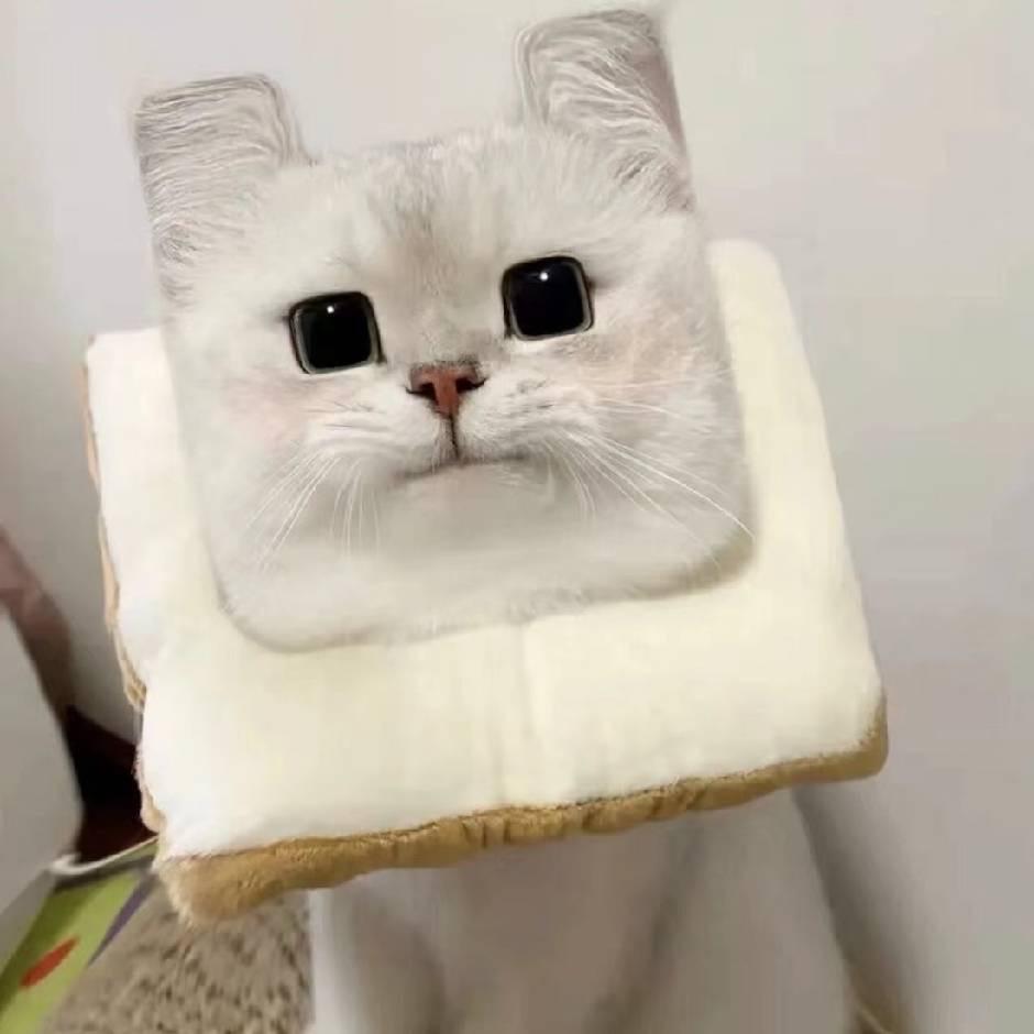 小兔