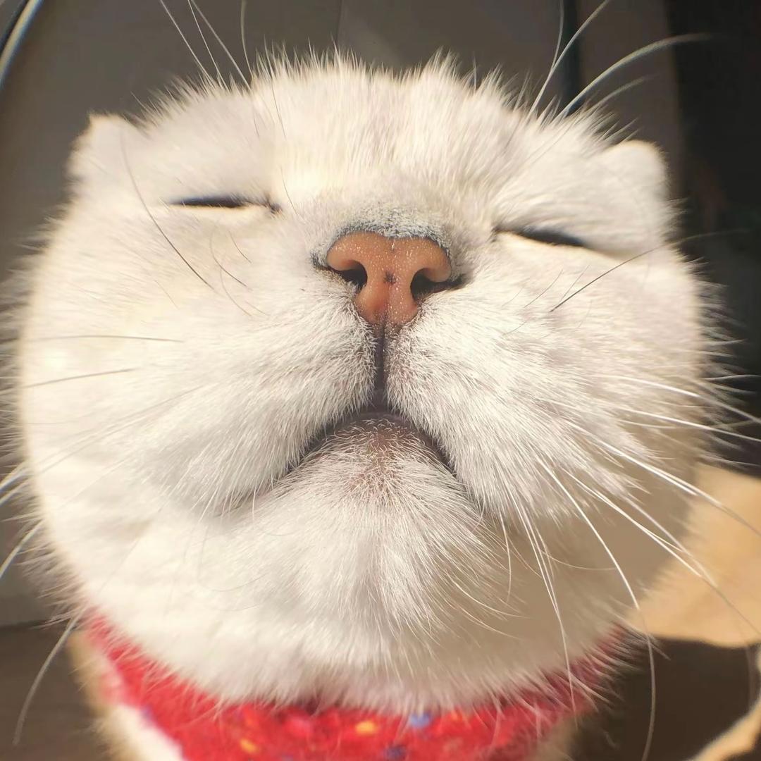 🌈🌈崔泡泡🫧