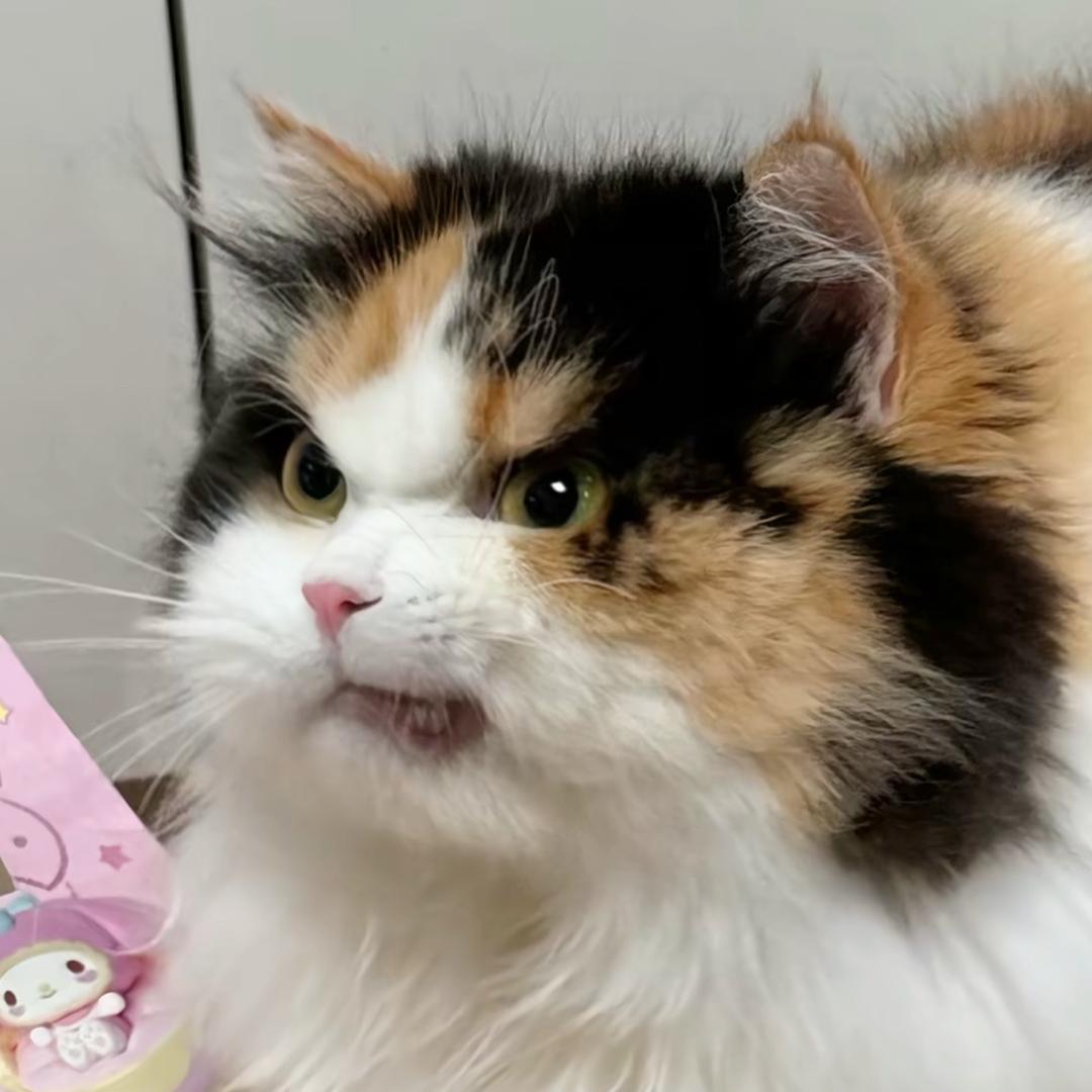 呦呦^