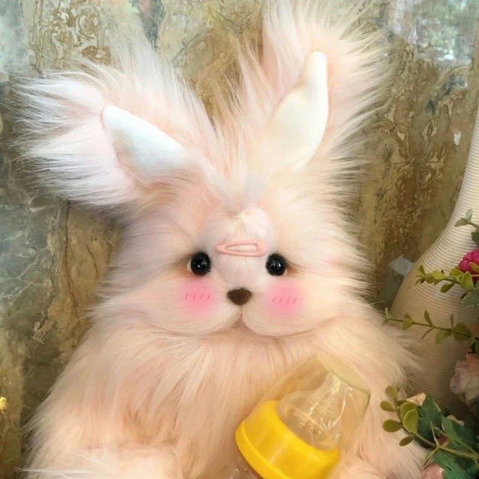 一只芭比小甜妮🍭