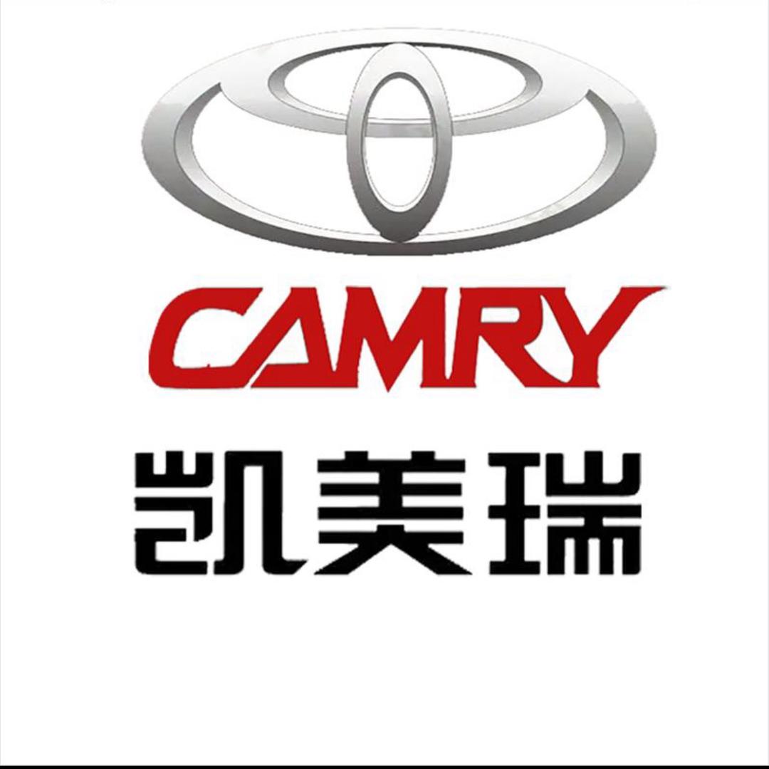 重生之我在丰田当主播