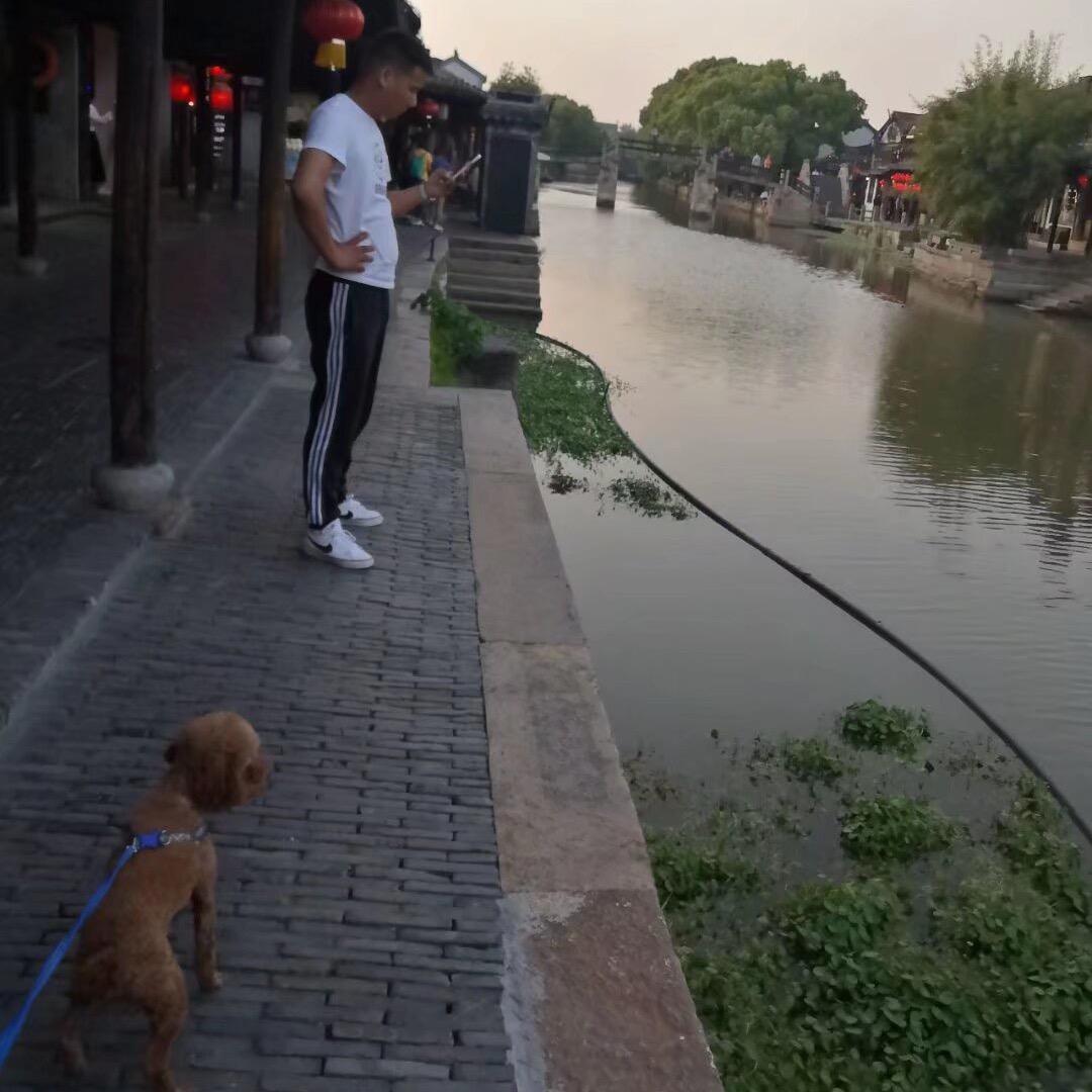 董三龙