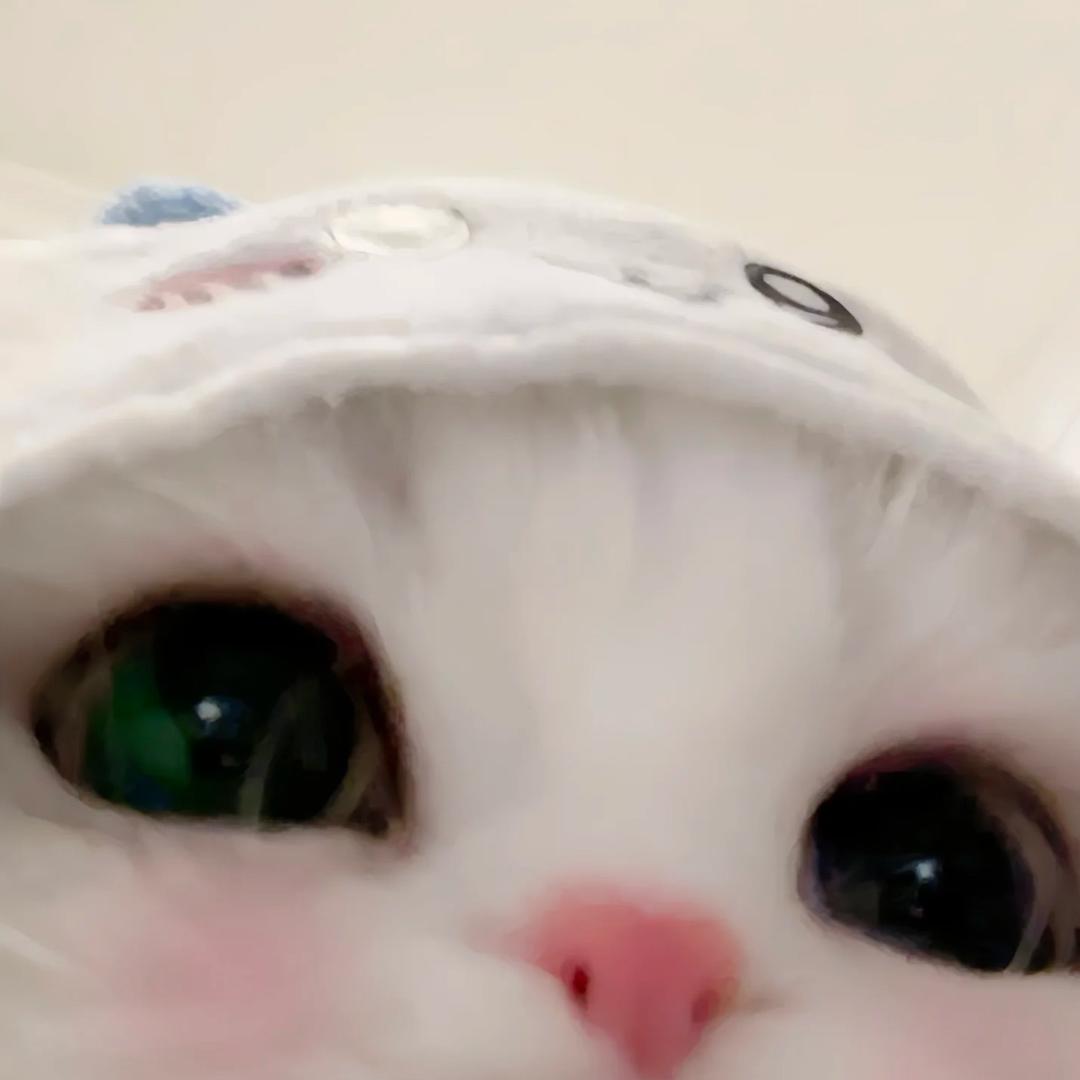 lit7