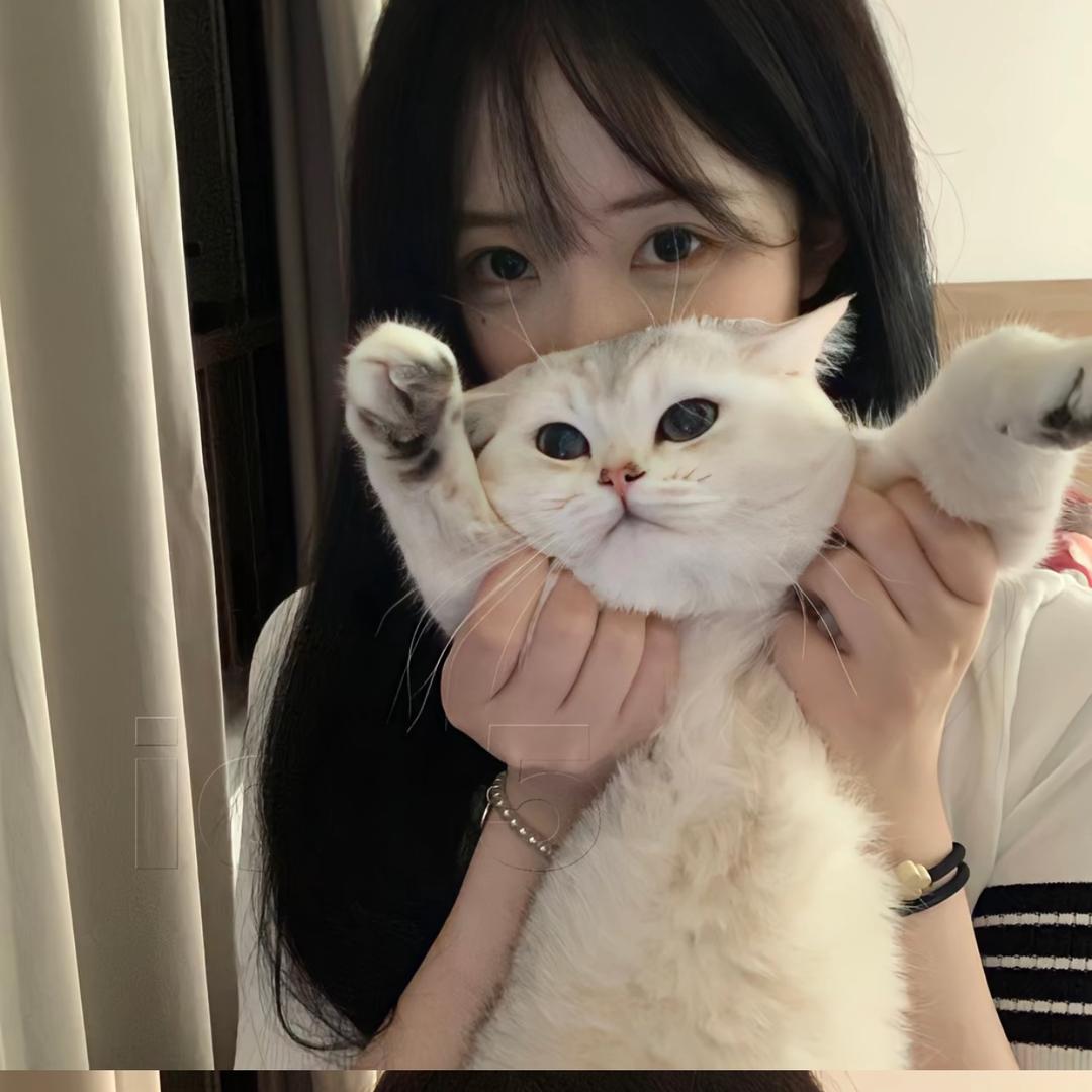 hello8