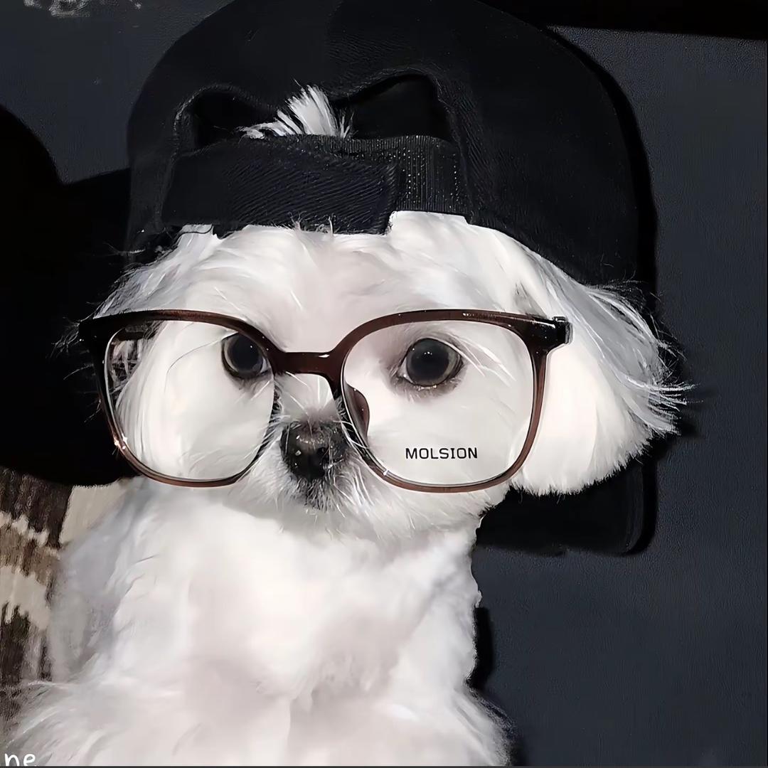 奶油小蟑螂🪳