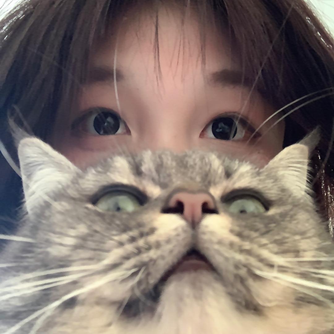 乱道