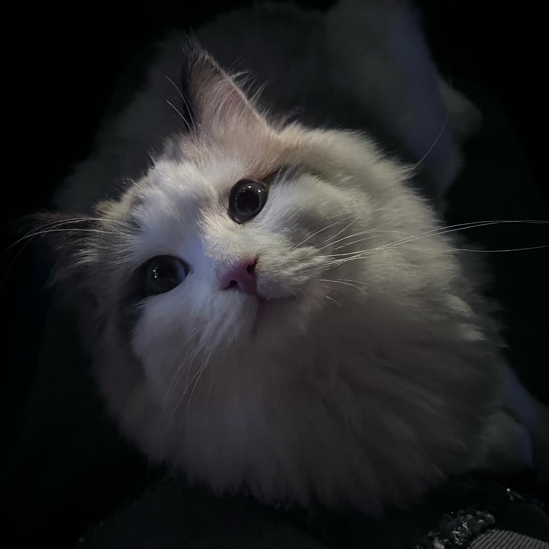 数学不好的女孩最漂亮