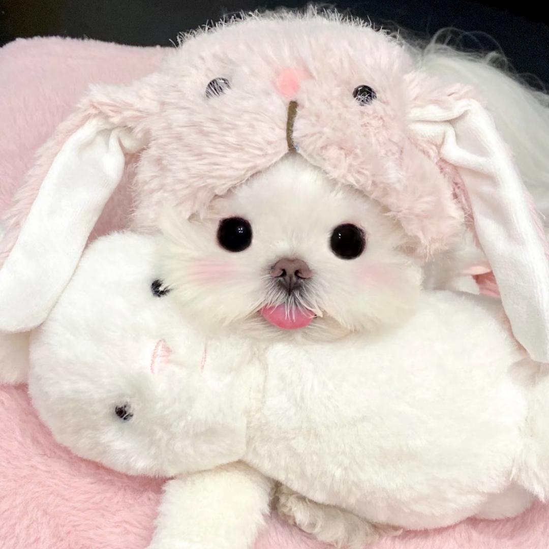 Mia～