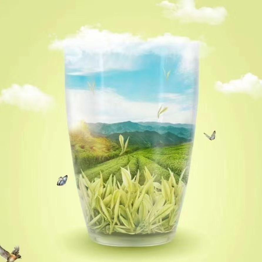 🍵安吉᭄白茶ᩚ以茶ꦿ໌會友࿐🫖