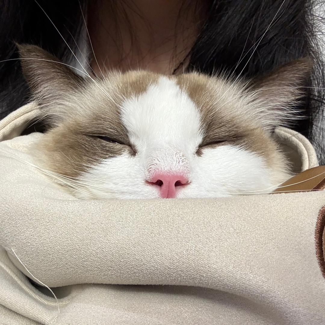 悠米