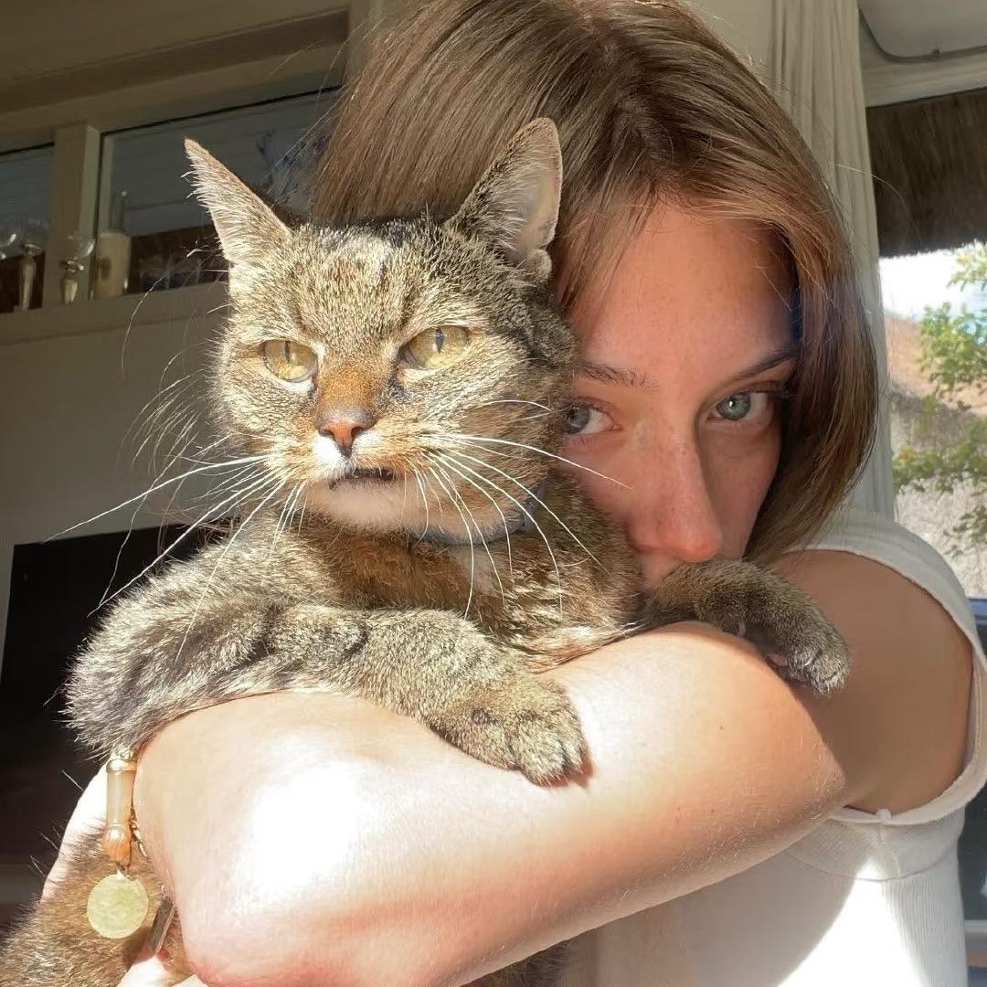 MaoMao