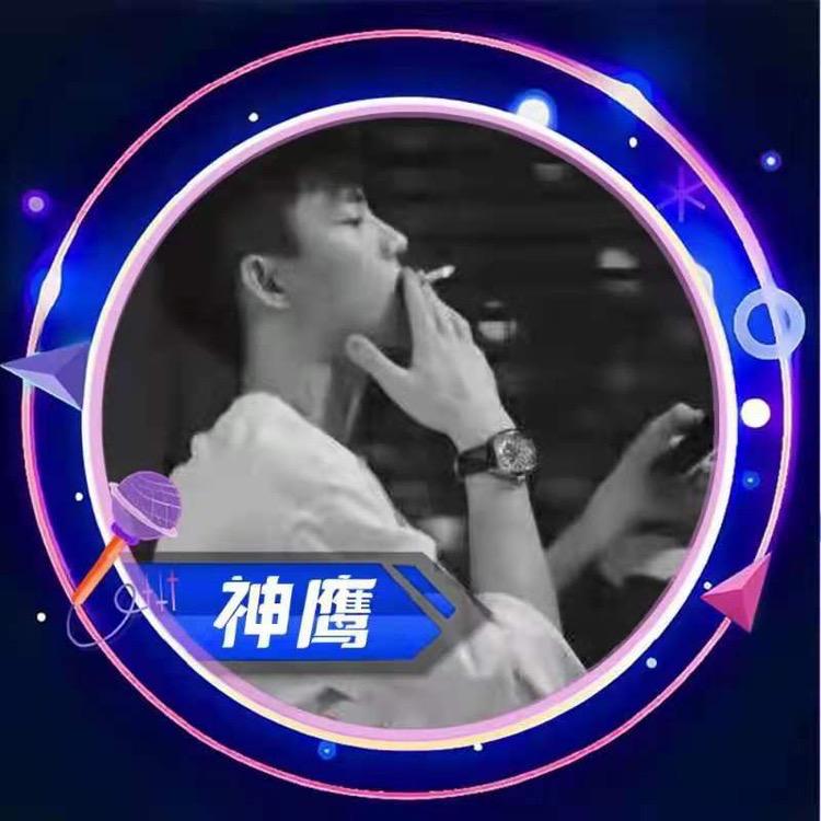 神鹰