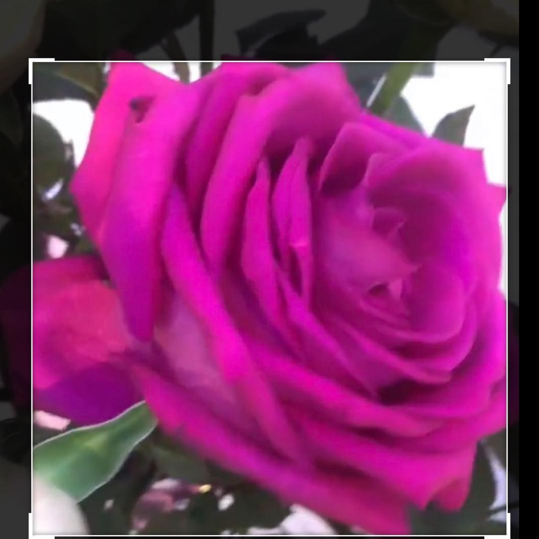 阿乐女装工厂店