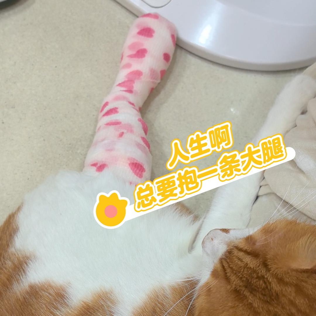 今天吃什么头像