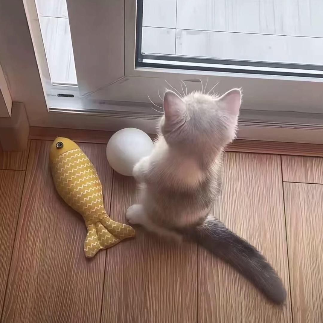 媛.