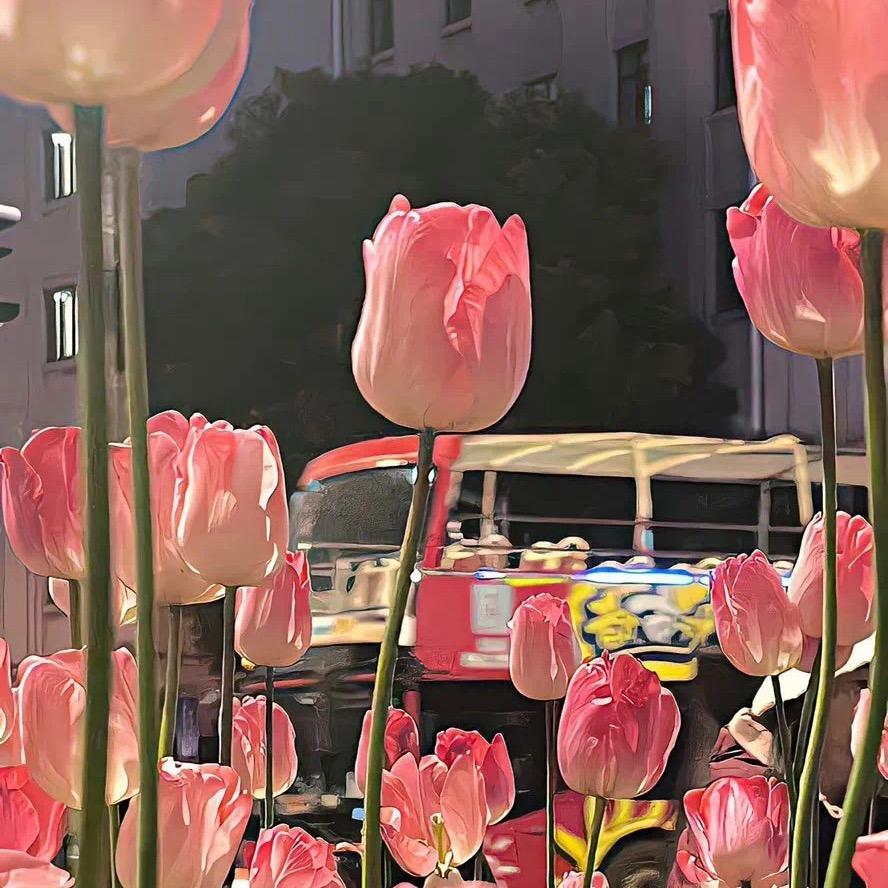 忆播