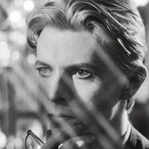 卿卿别熬夜了（立志早睡早起并好好学习版）