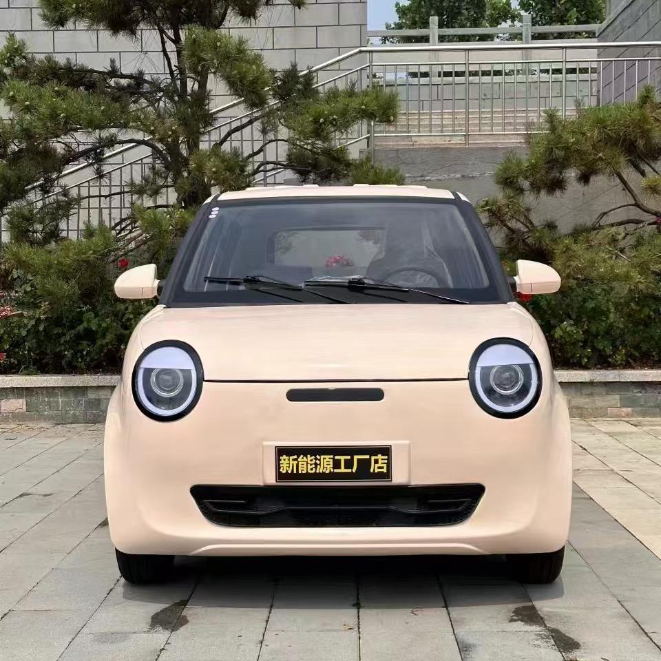 新能源电动车𠂆家直销