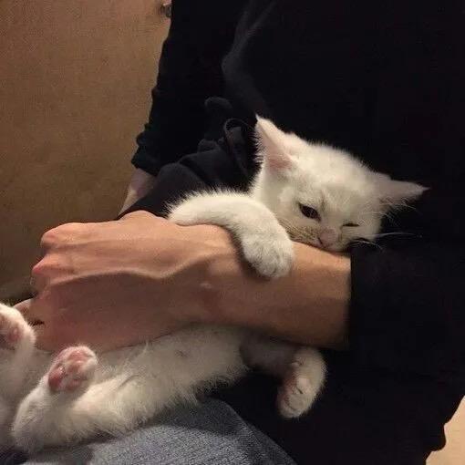 呼呼呼呼呼