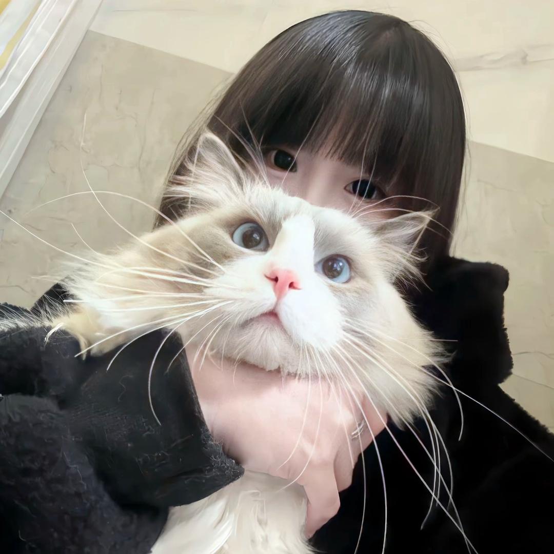煎蛋葱有饼