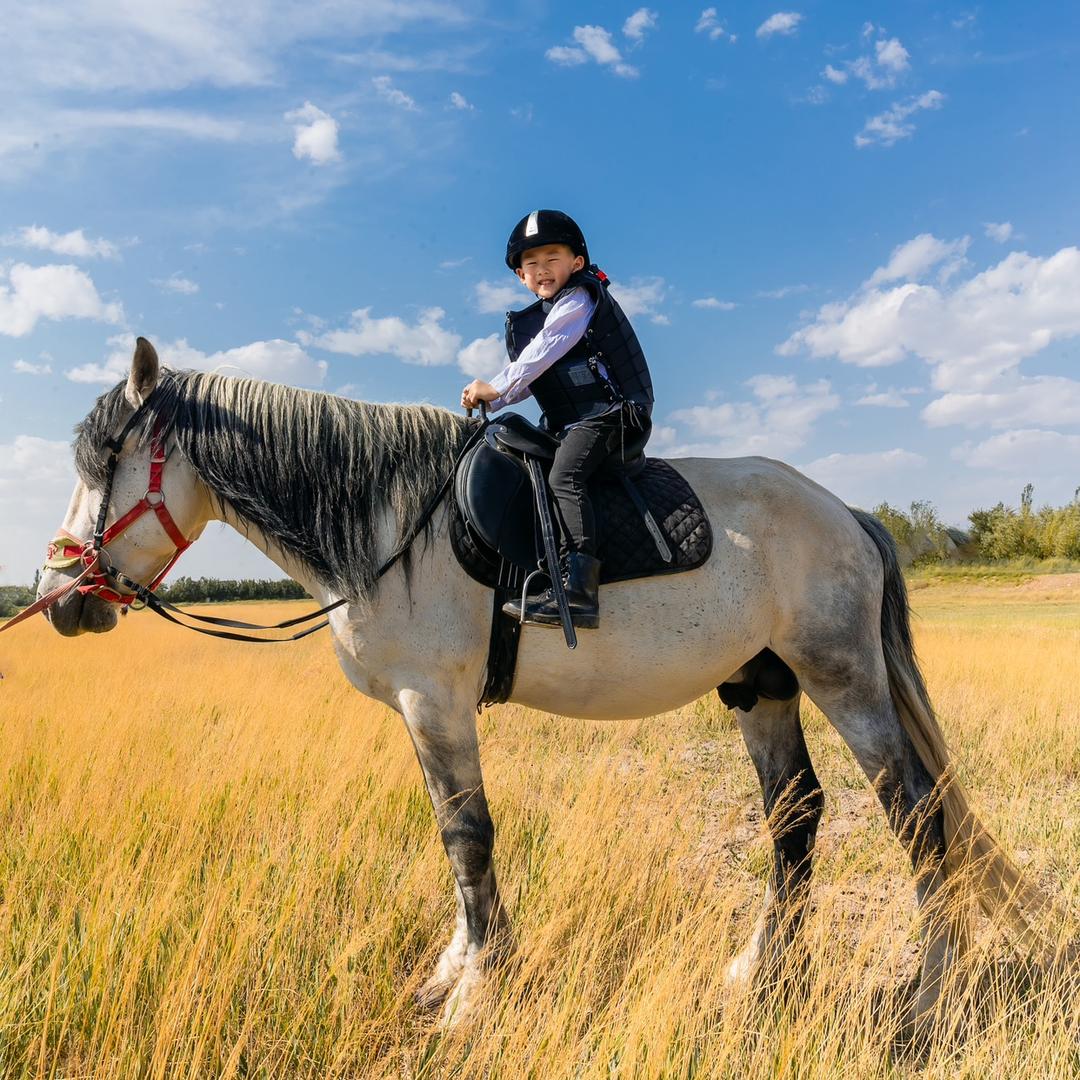 白音阿尔巴斯羊肉经销部