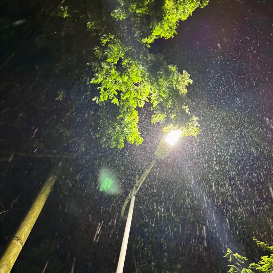 性感大公鸡