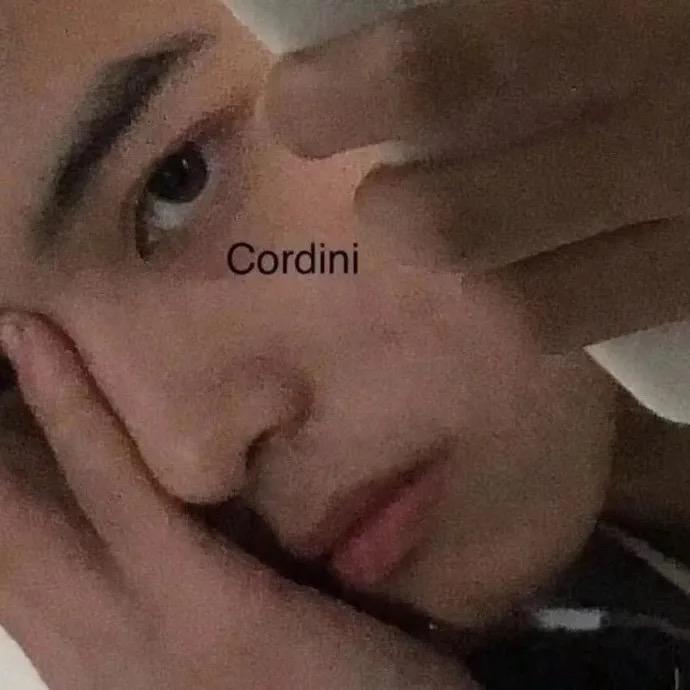 维兹