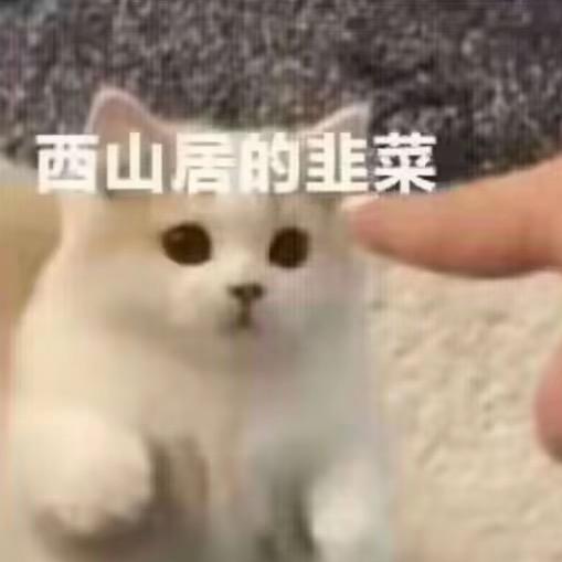 🌈欧洲的剑网3投资人🌈