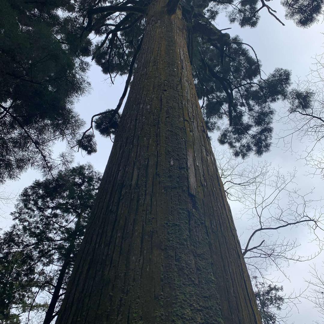 北京旅游推荐官