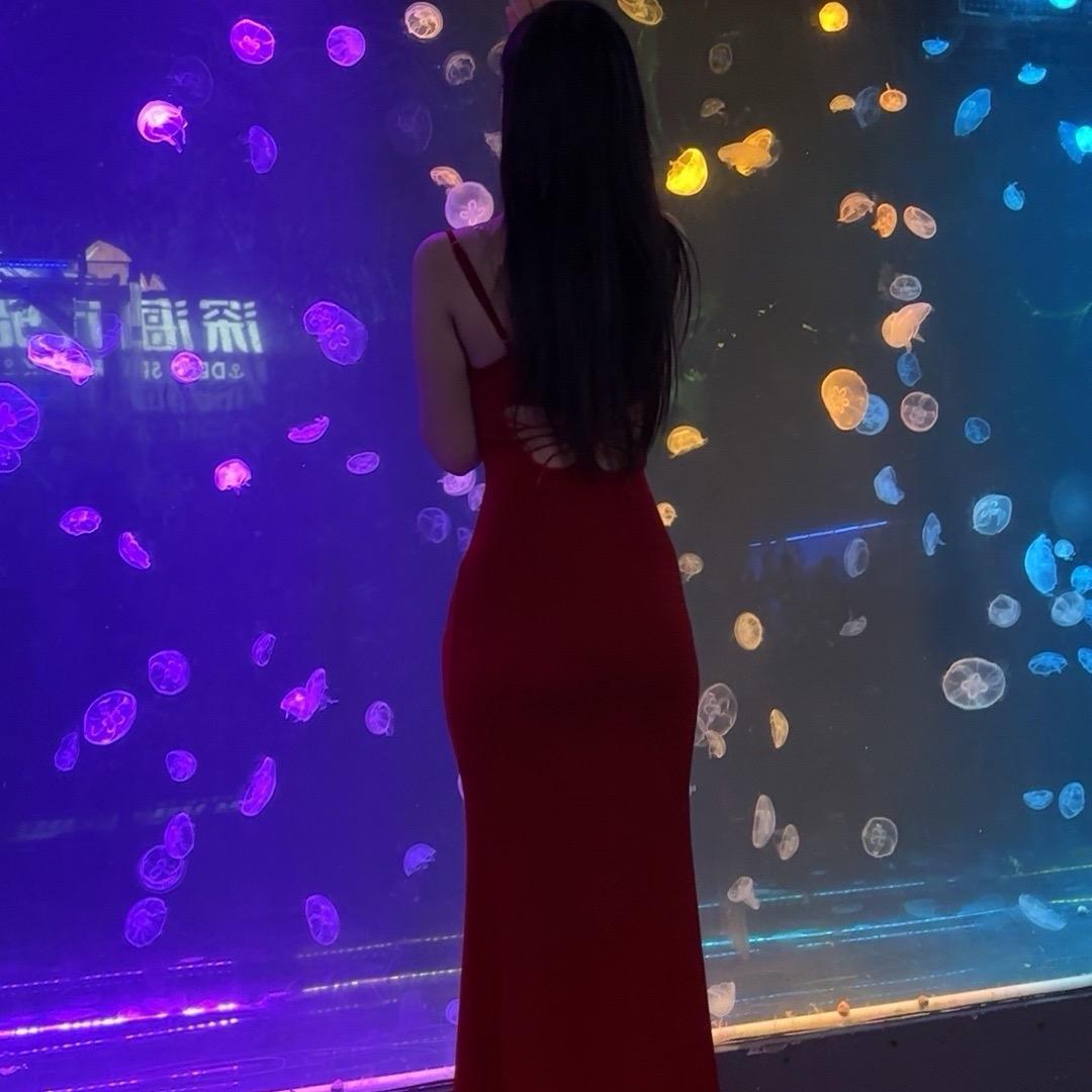 海棠花未眠