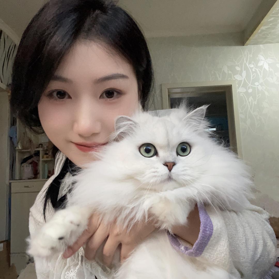 在下刘亦菲