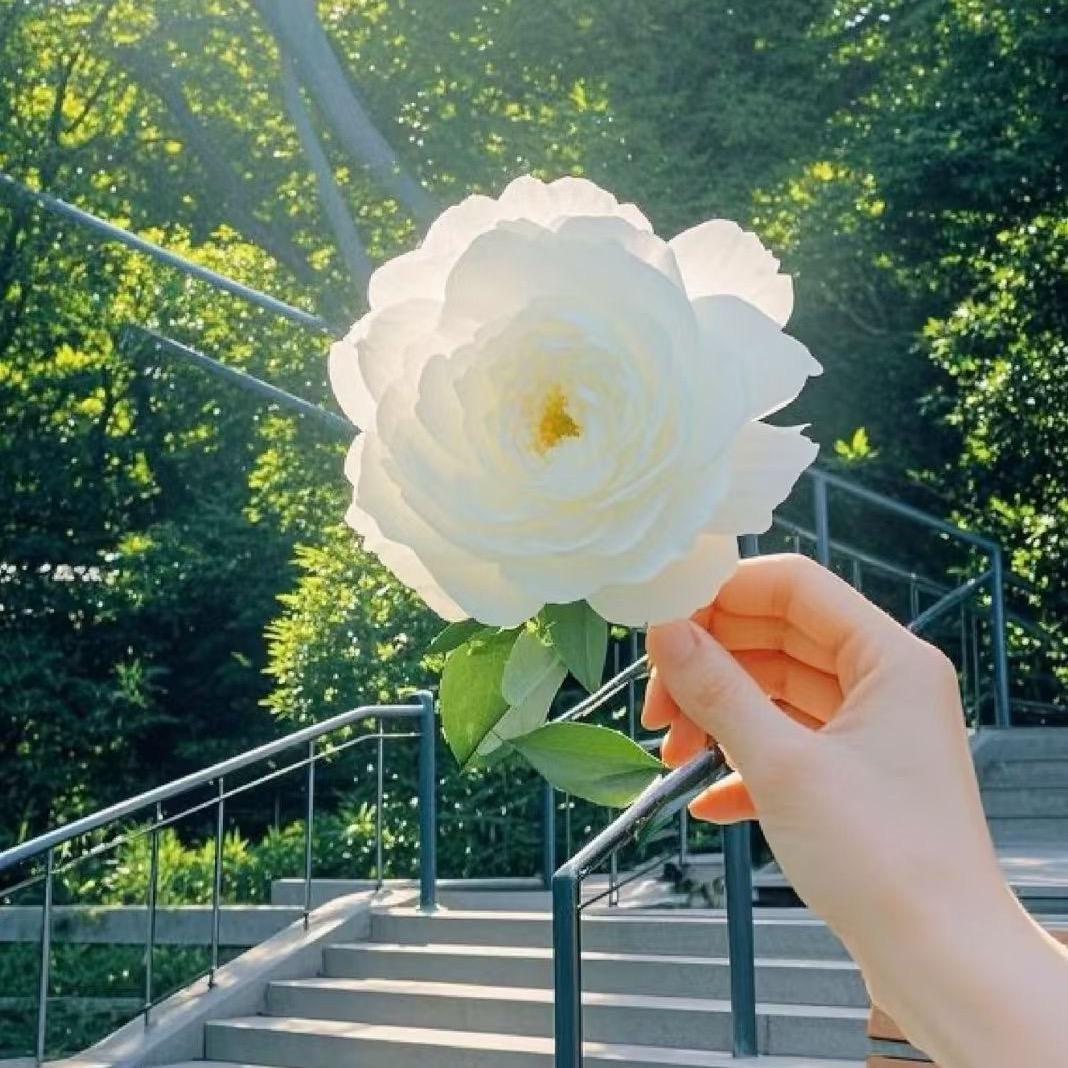 画朵朵纸鸢花