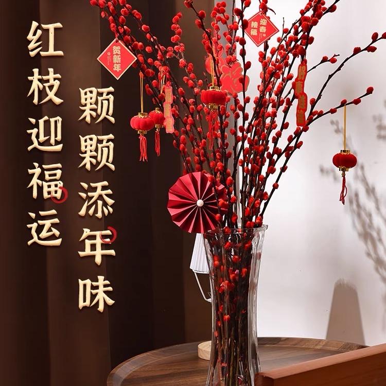 喜庆银柳基地