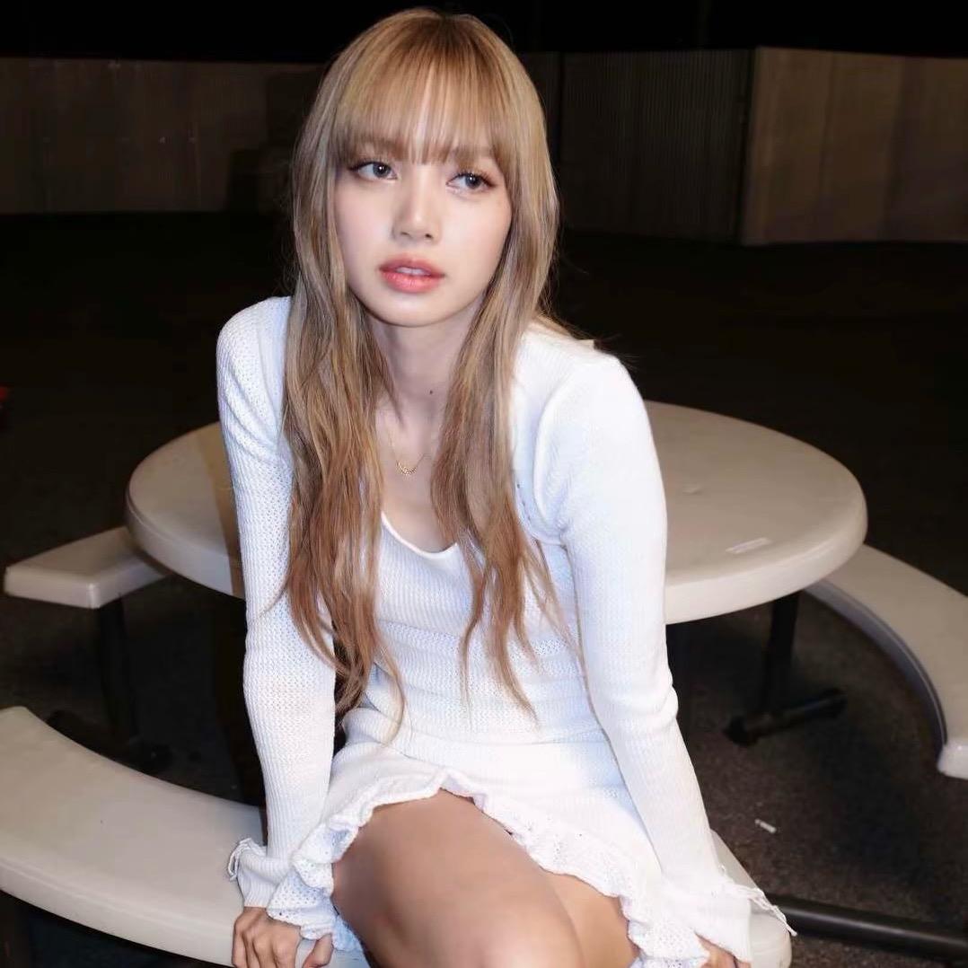 变脸小怪兽🧚‍♀️