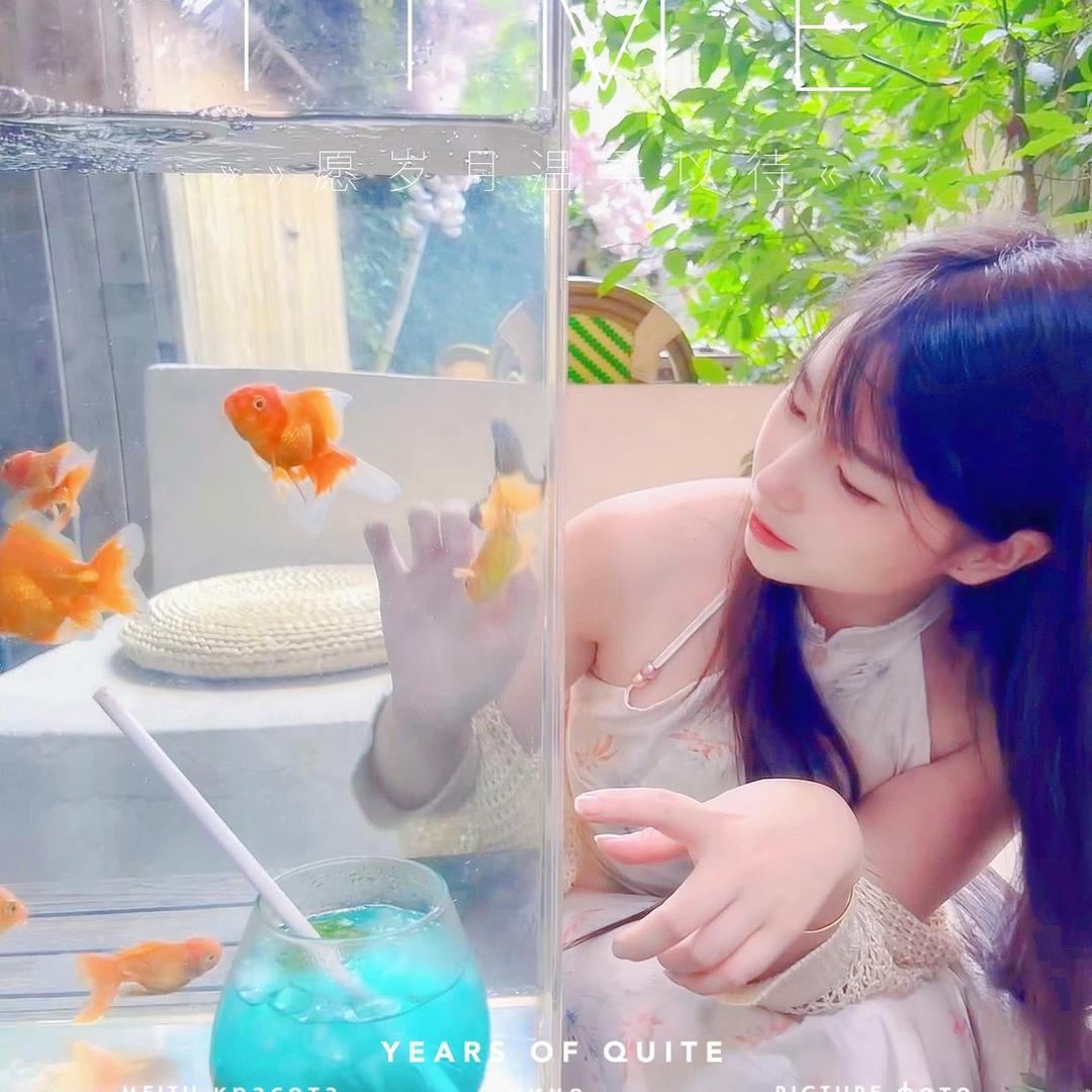 江南有只喵