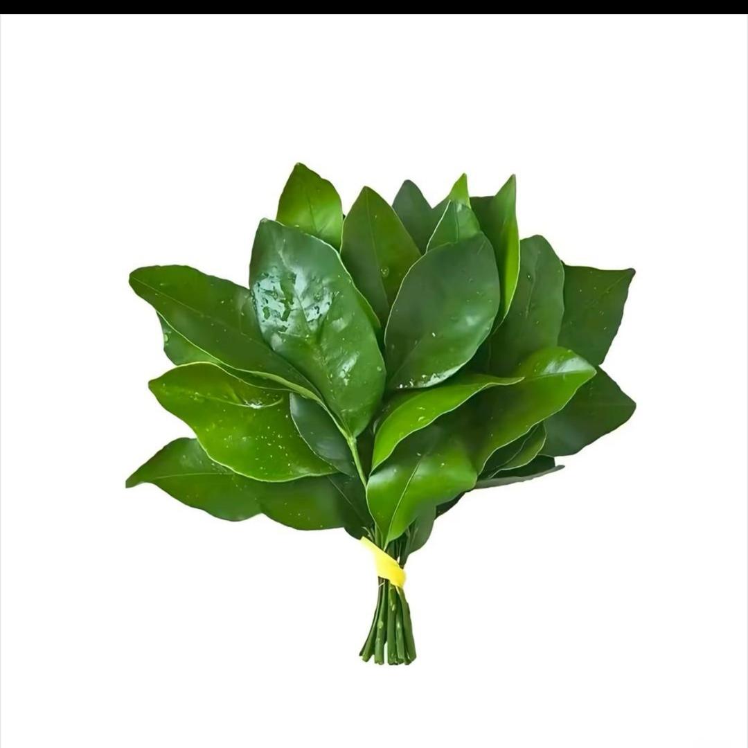 绝对快樂.