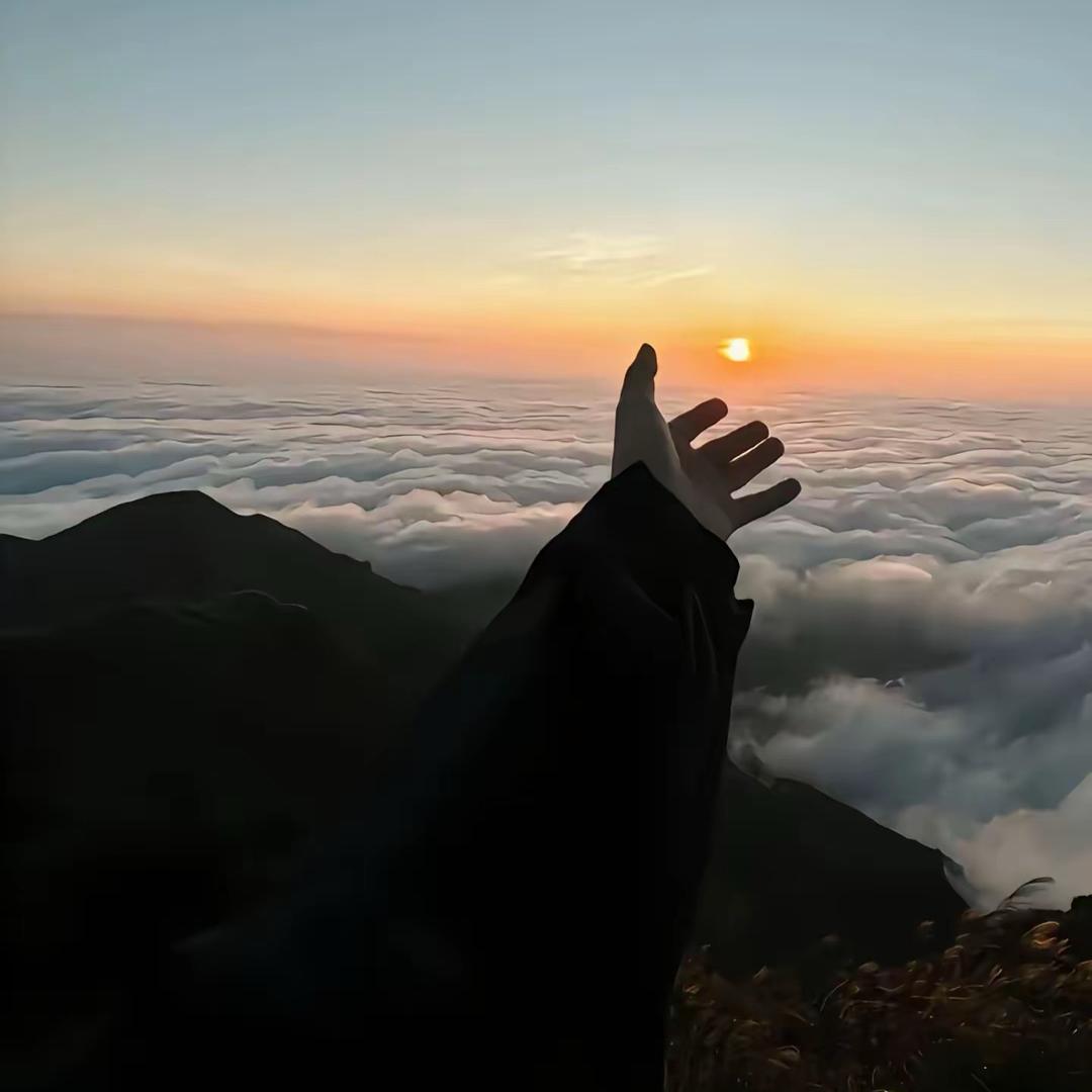 无情