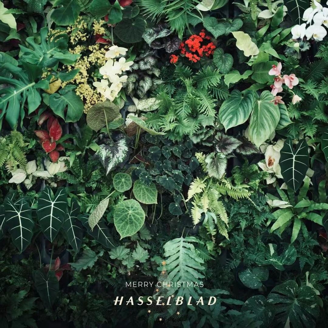 【泉山钱币】天亮