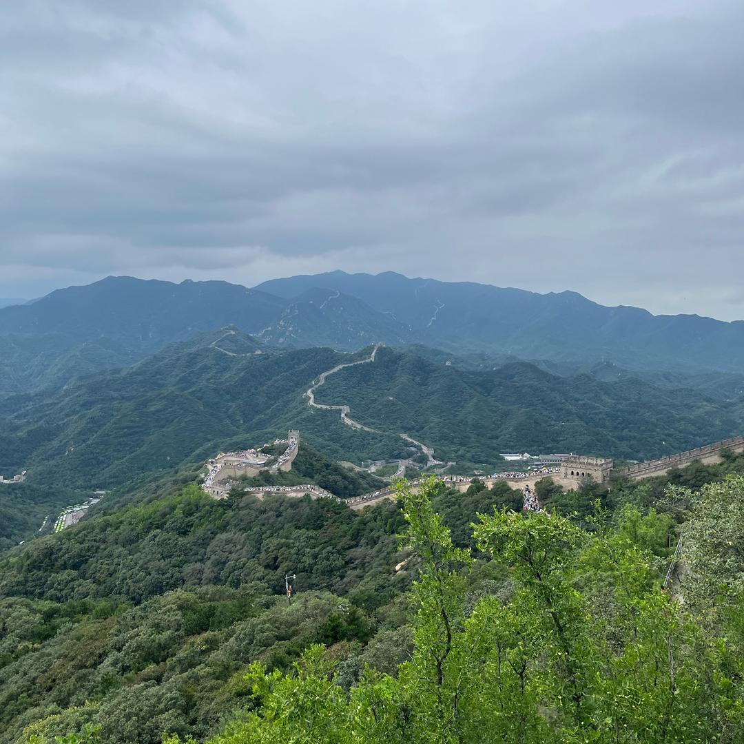 龙的心