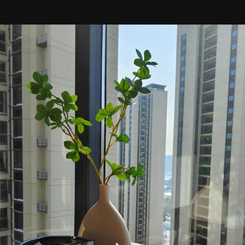 皇家图书专营店