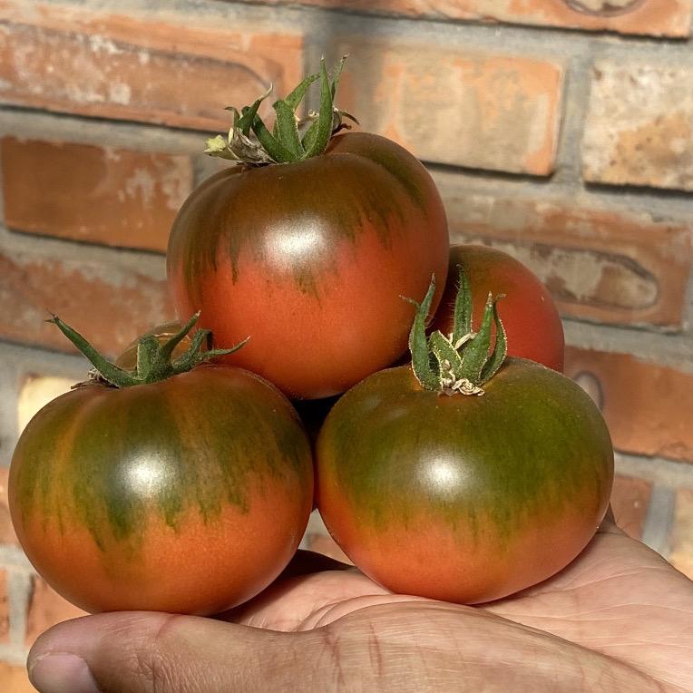 淑娟家庭农场（天津番茄娟姐）