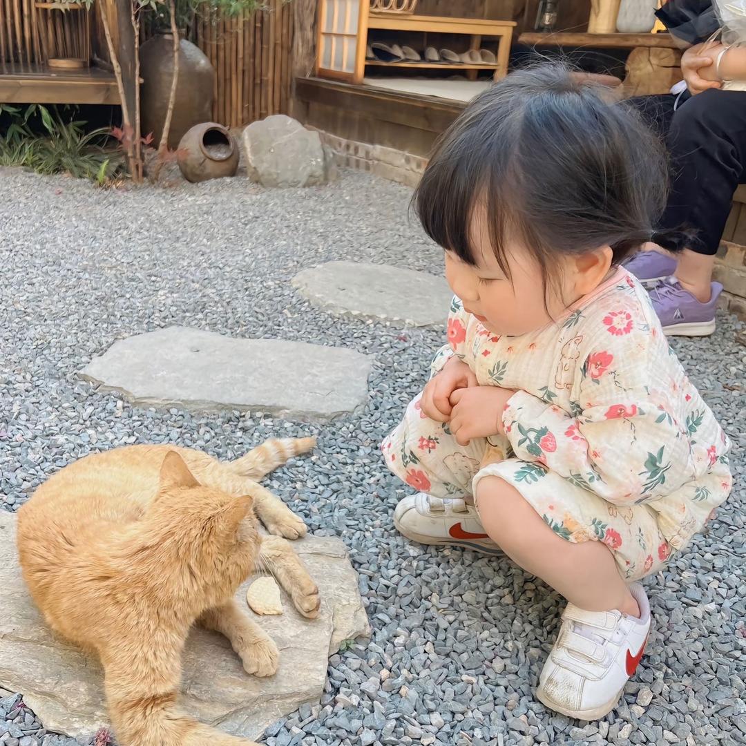 早睡gulf_knp