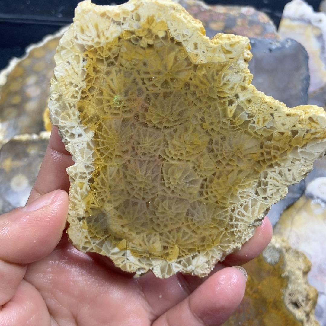 可可珠宝珊湖玉