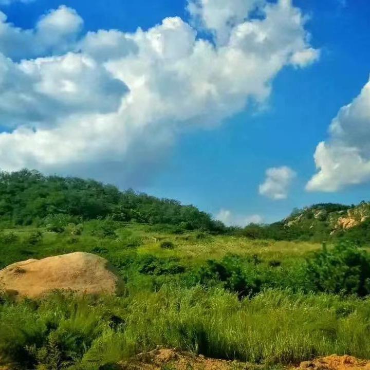 沉沦她的美